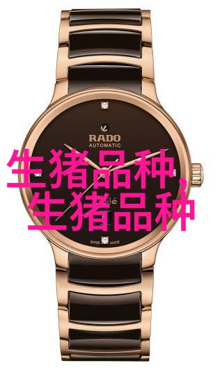 苏白猪