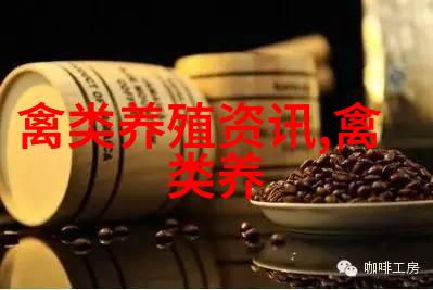 饲养鸽子促象州农民致富