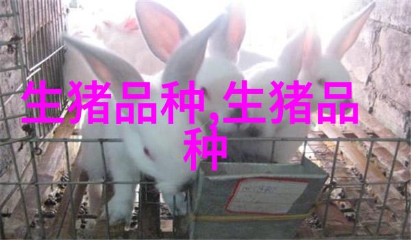 优良的瘦肉型猪品种介绍