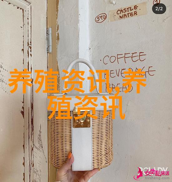 预计下半年猪的价格将保持疲软
