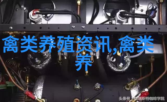 鸽子停止产蛋的原因