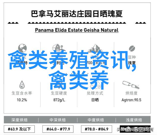 鹌鹑蛋相关介绍