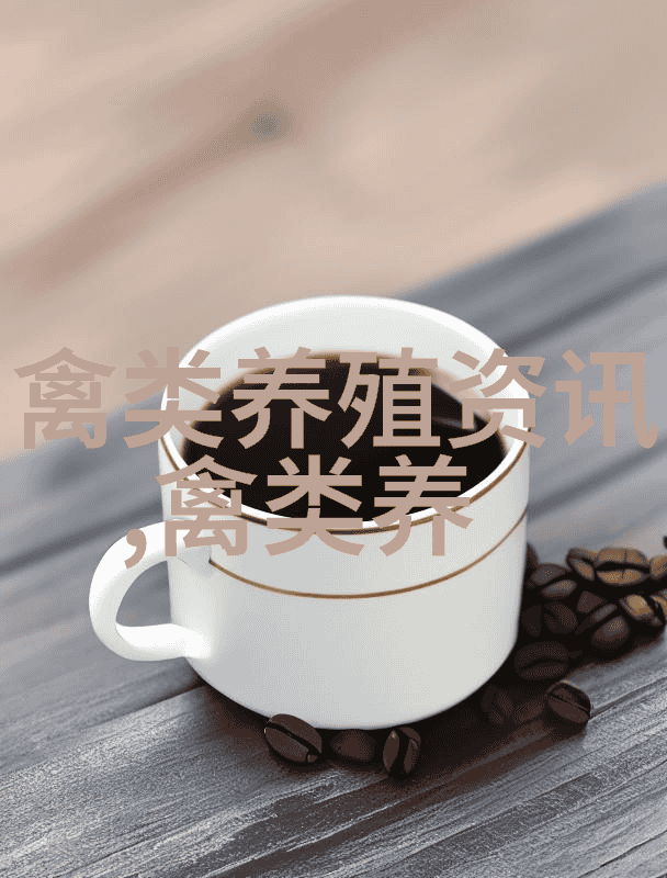 鸽子蛋的营养价值