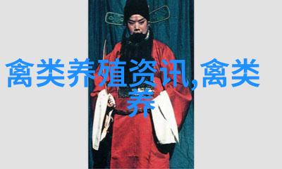 鸭子介绍