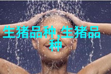 湖北白猪D系 种母猪品种